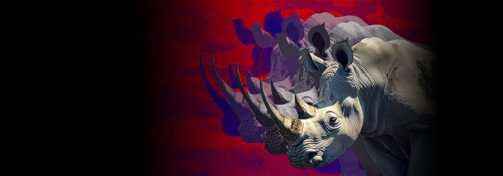 WestRep Stage Rhinoceros